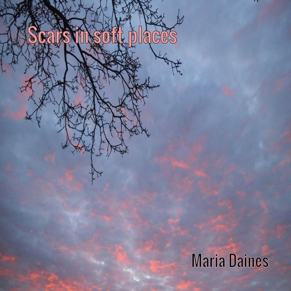 Picture of Scars in Soft Places