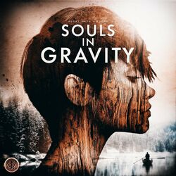 Cover of Souls in Gravity