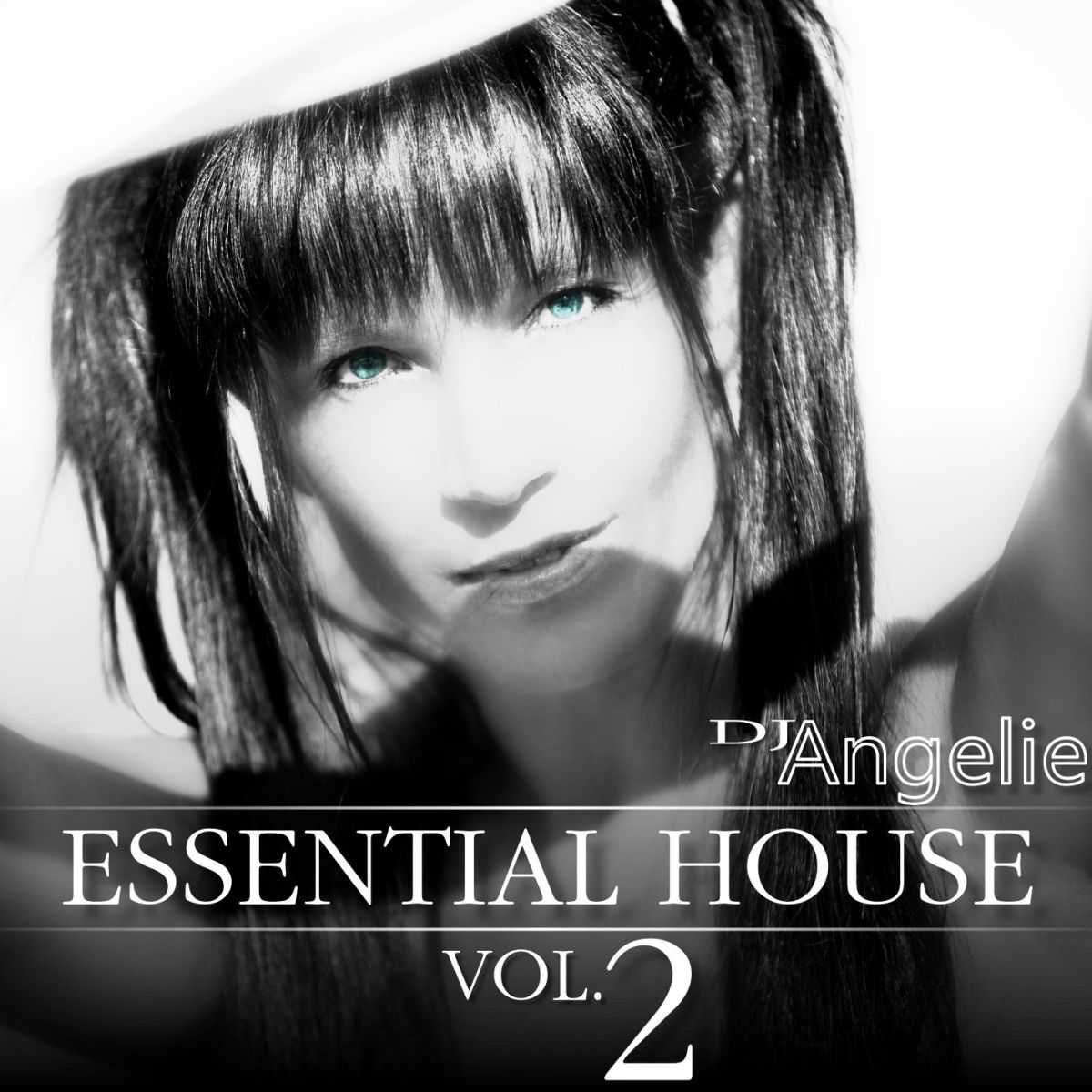 Album cover of Essential House, Vol. 2