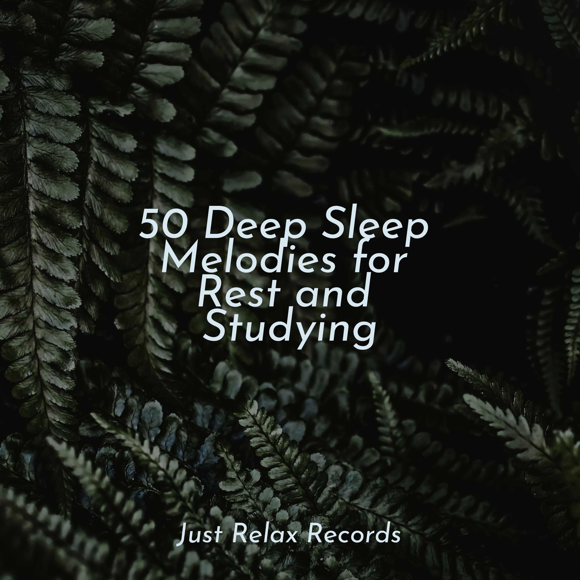 Album cover of 50 Deep Sleep Melodies for Rest and Studying