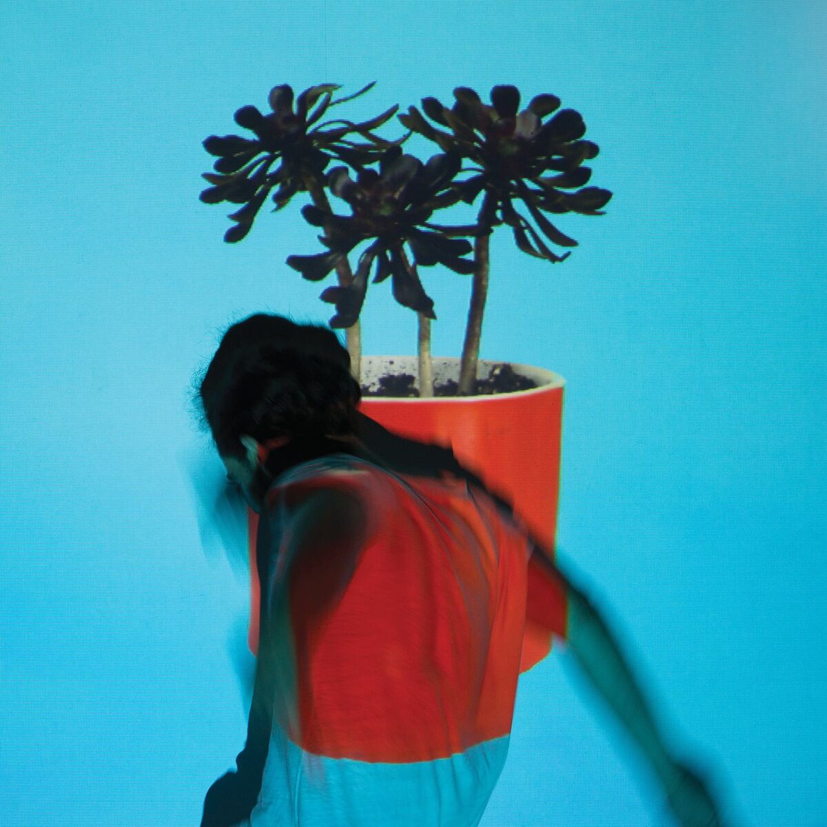 Album cover of Sunlit Youth