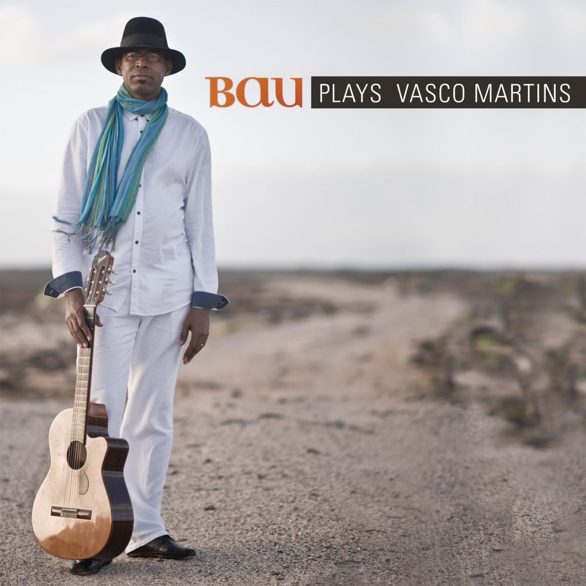 Album cover of Plays Vasco Martins