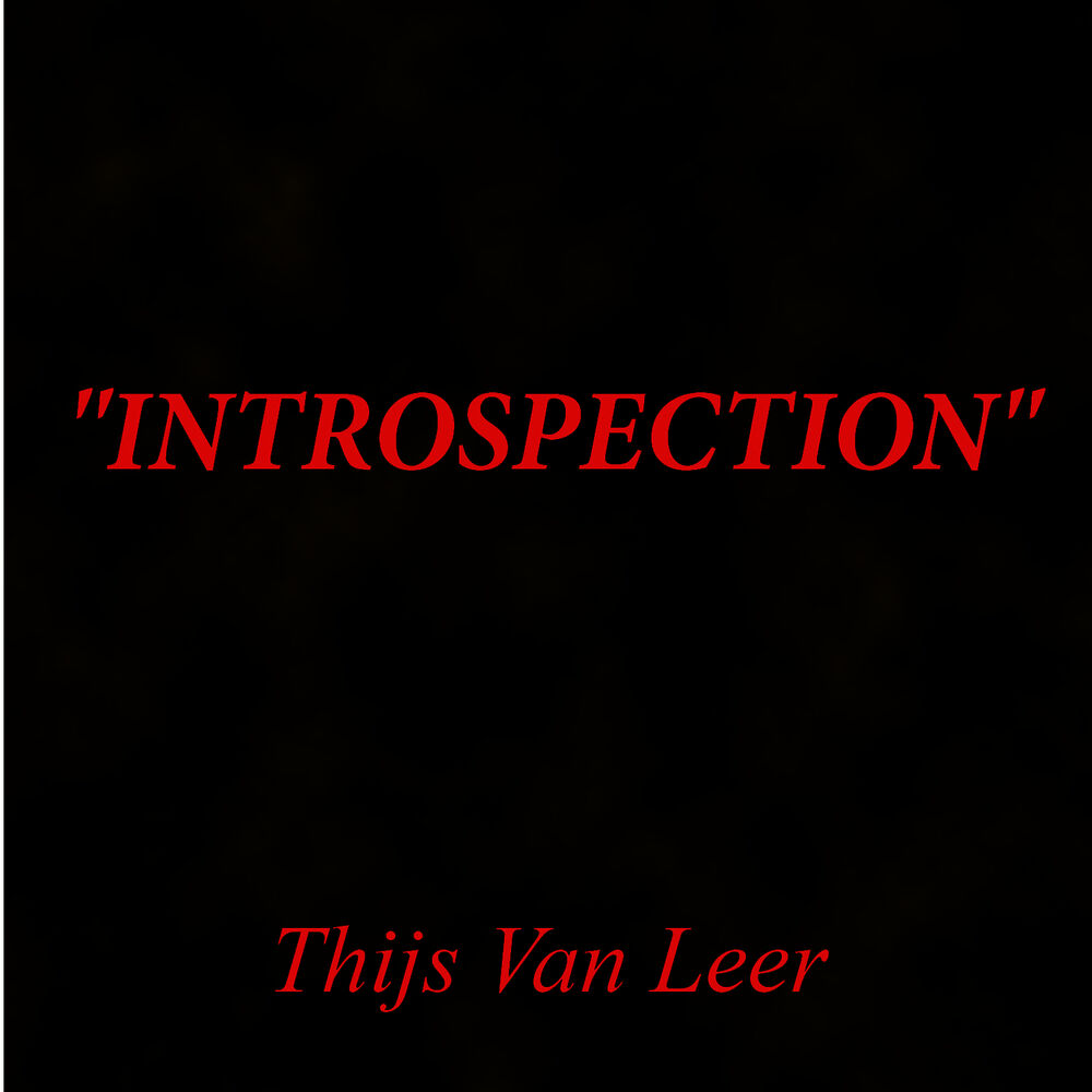 Picture of Introspection