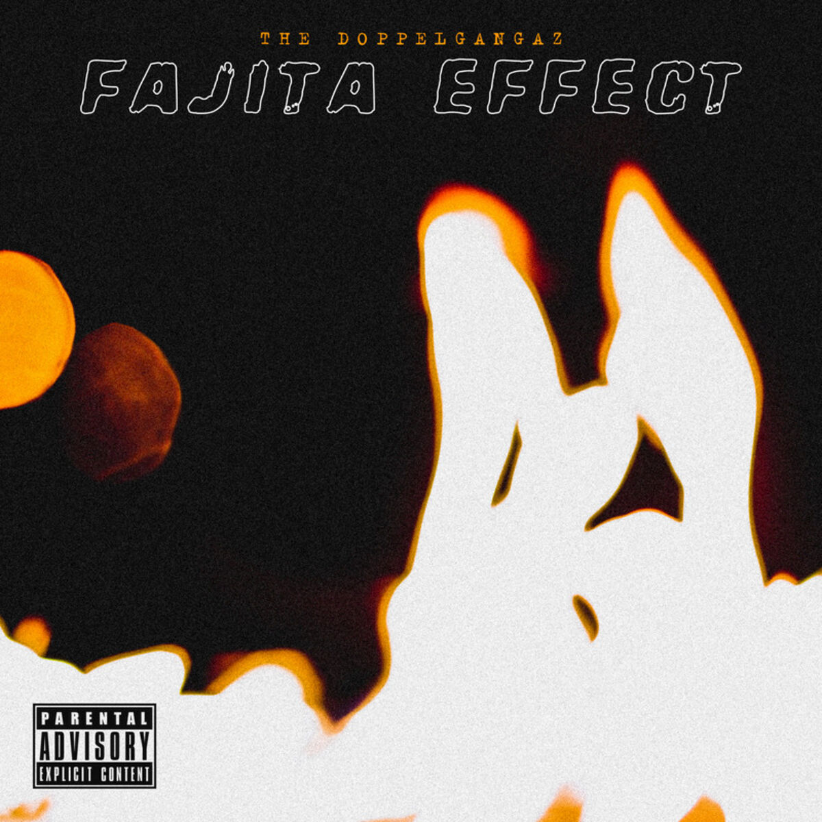 Album cover of Fajita Effect