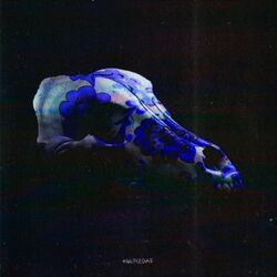 Cover of Зверь Без Нации