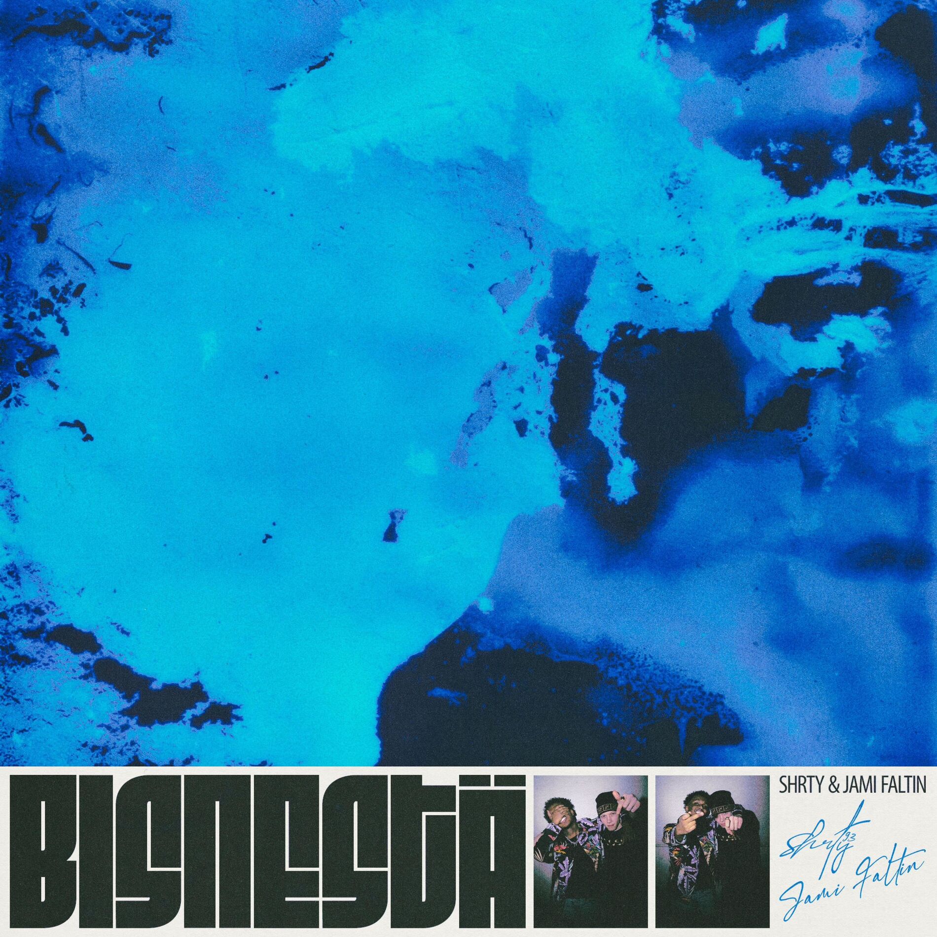 Album cover of Bisnestä
