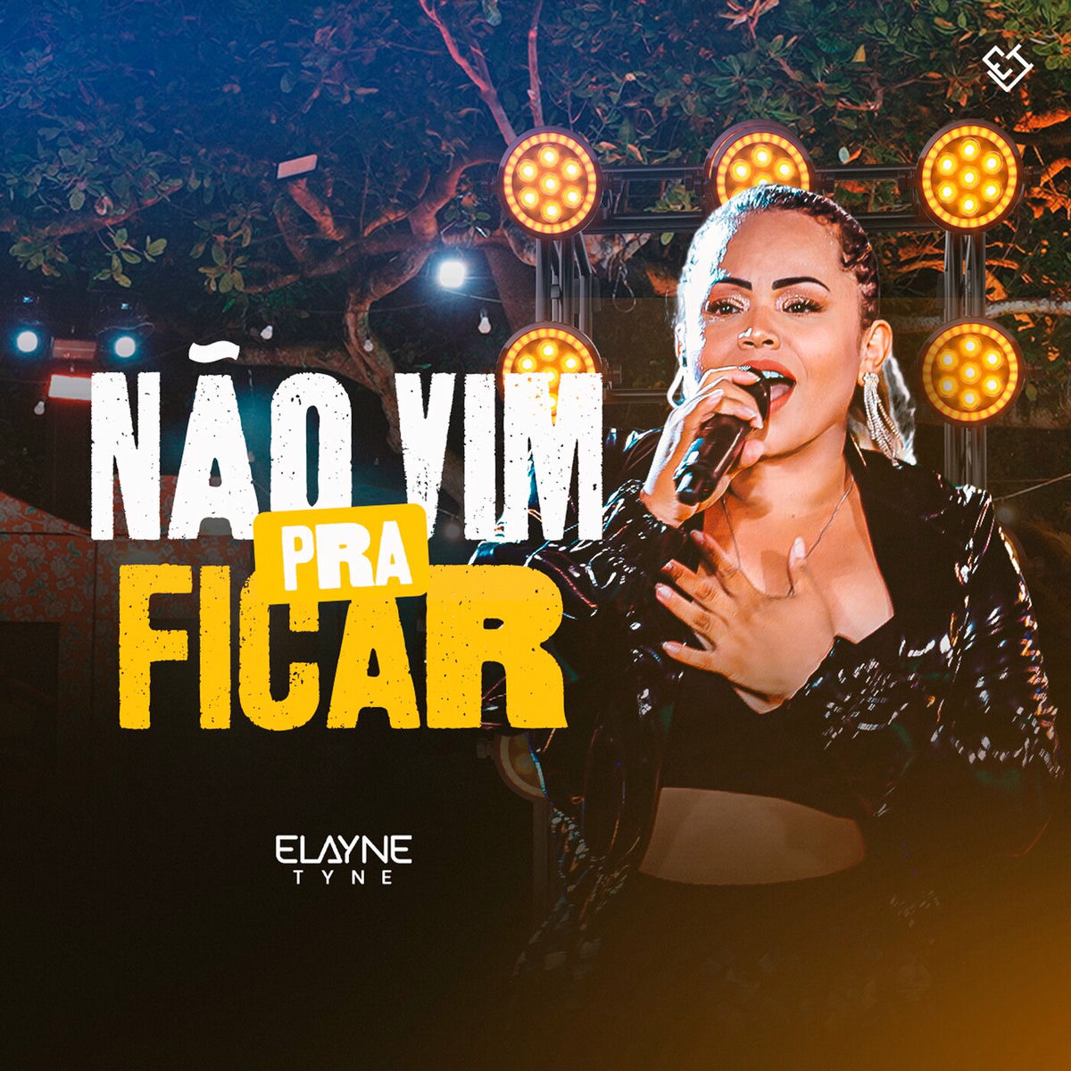 Album cover of Não Vim Pra Ficar