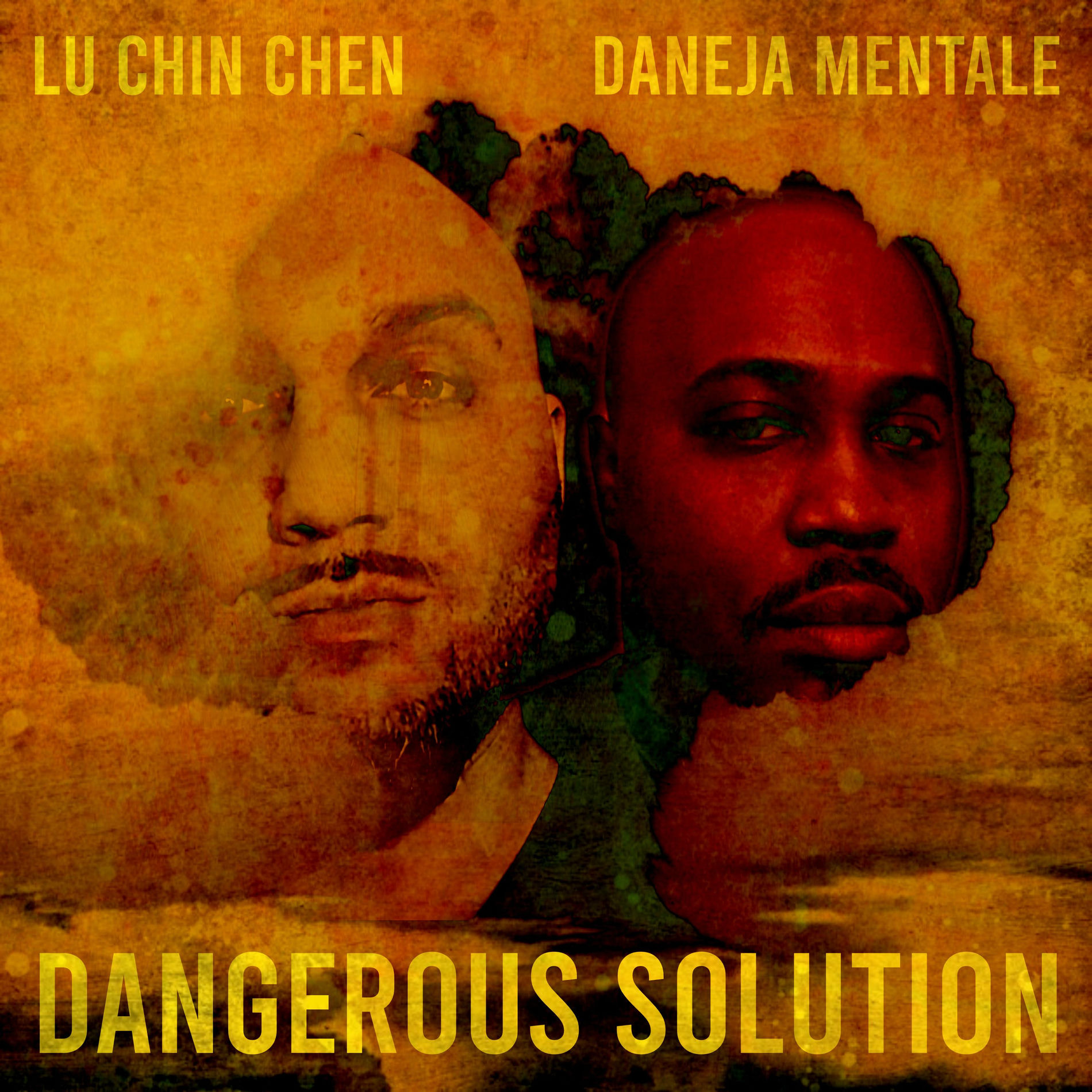 Album cover of Dangerous Solution