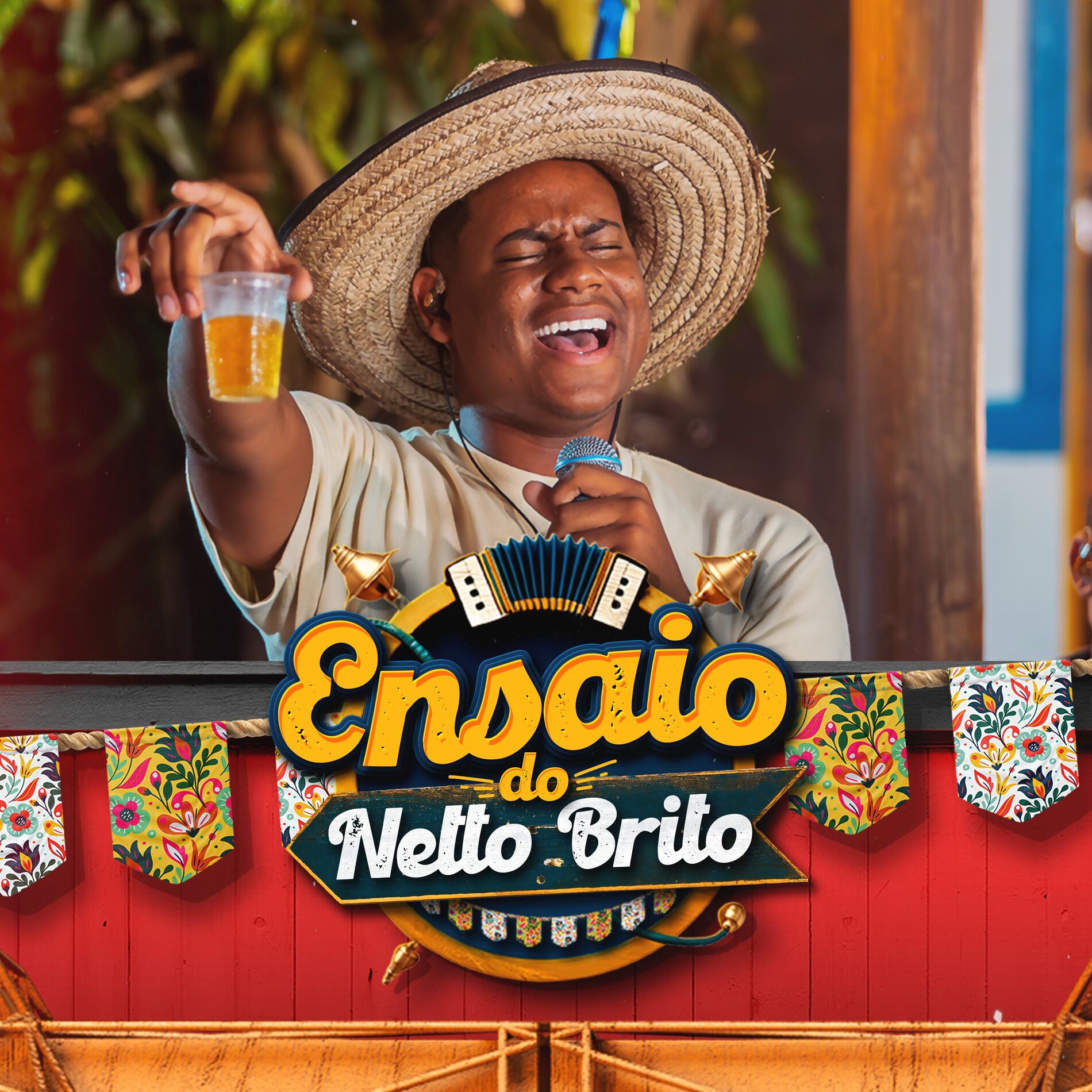 Album cover of Ensaio do Netto Brito