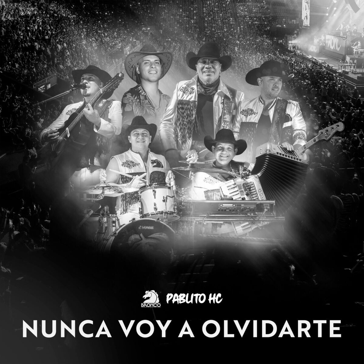 Album cover of Nunca Voy A Olvidarte (En Vivo)