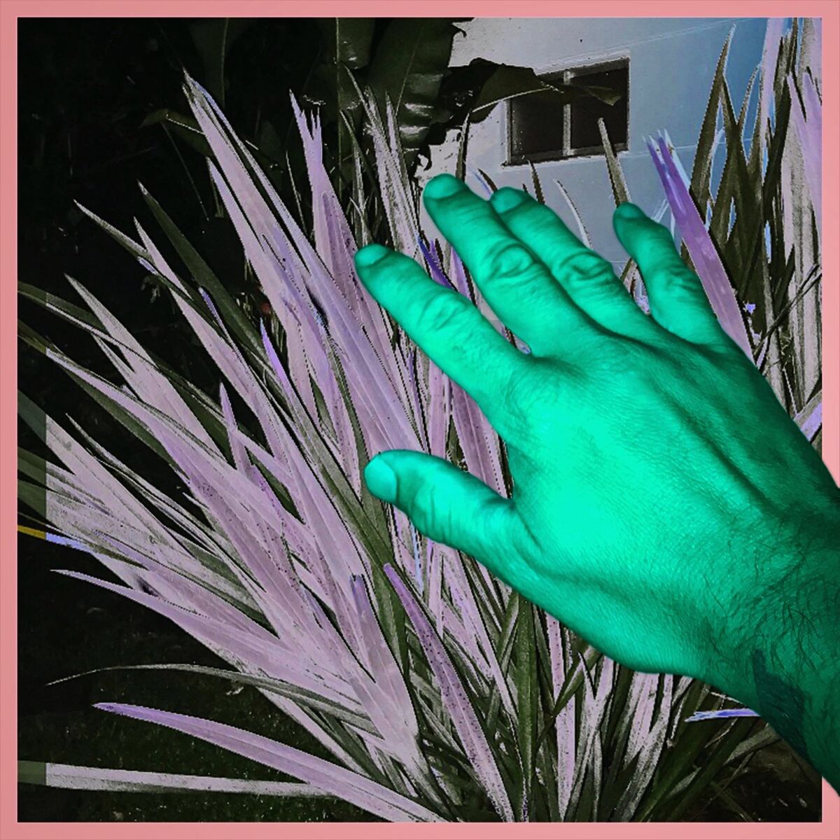 Album cover of La main de Dieu