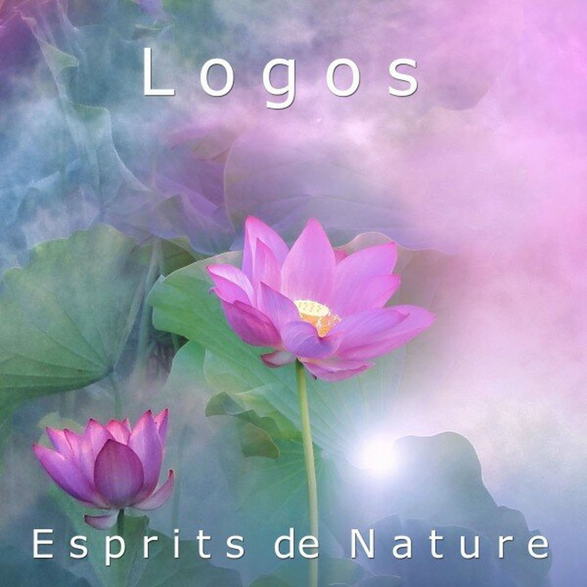 Album cover of La porte des Dieux