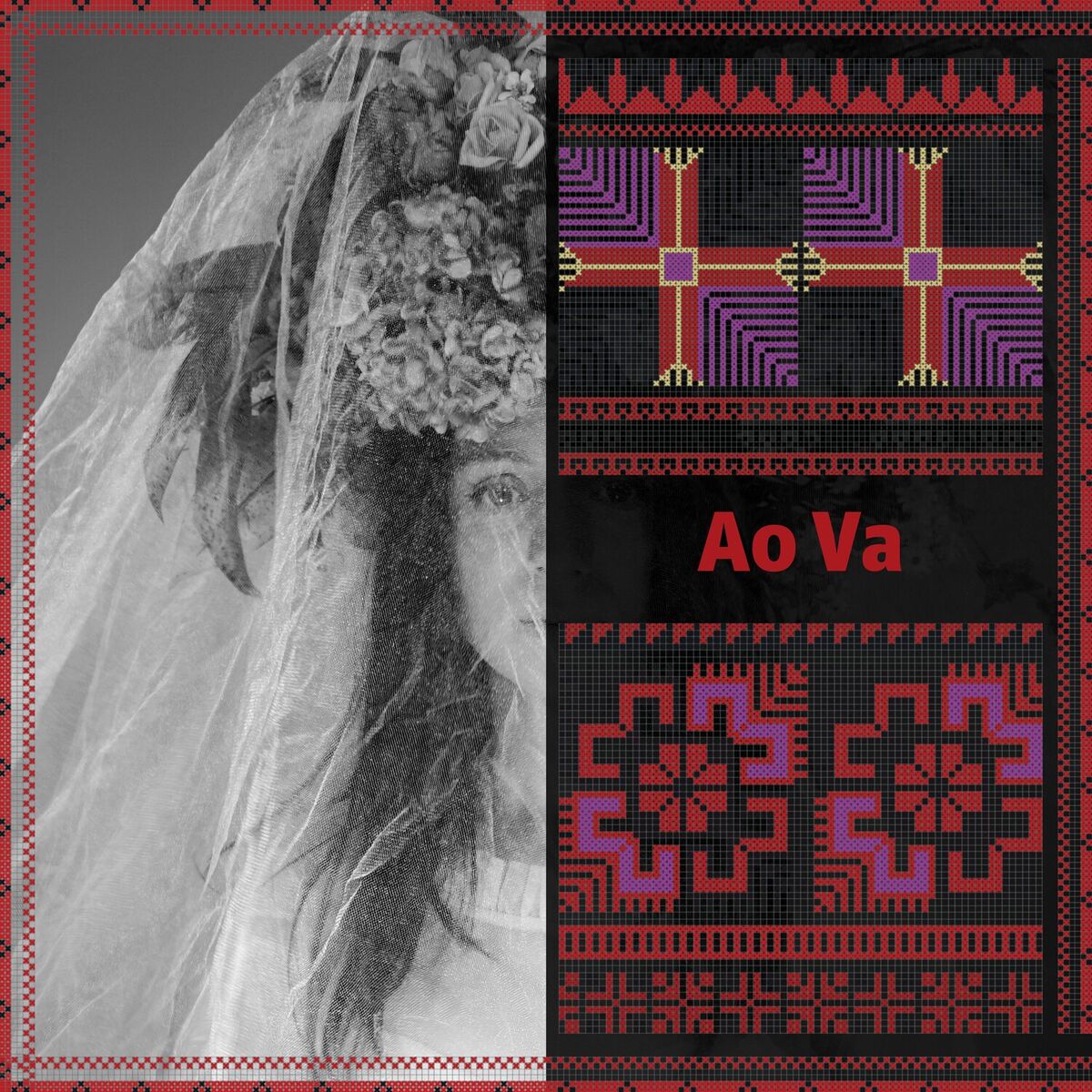 Album cover of Ao Va