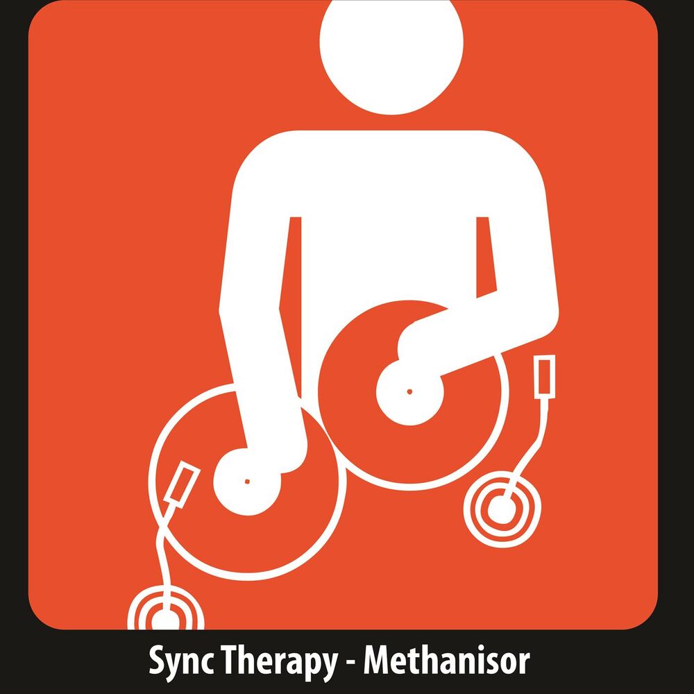 Picture of Methanisor