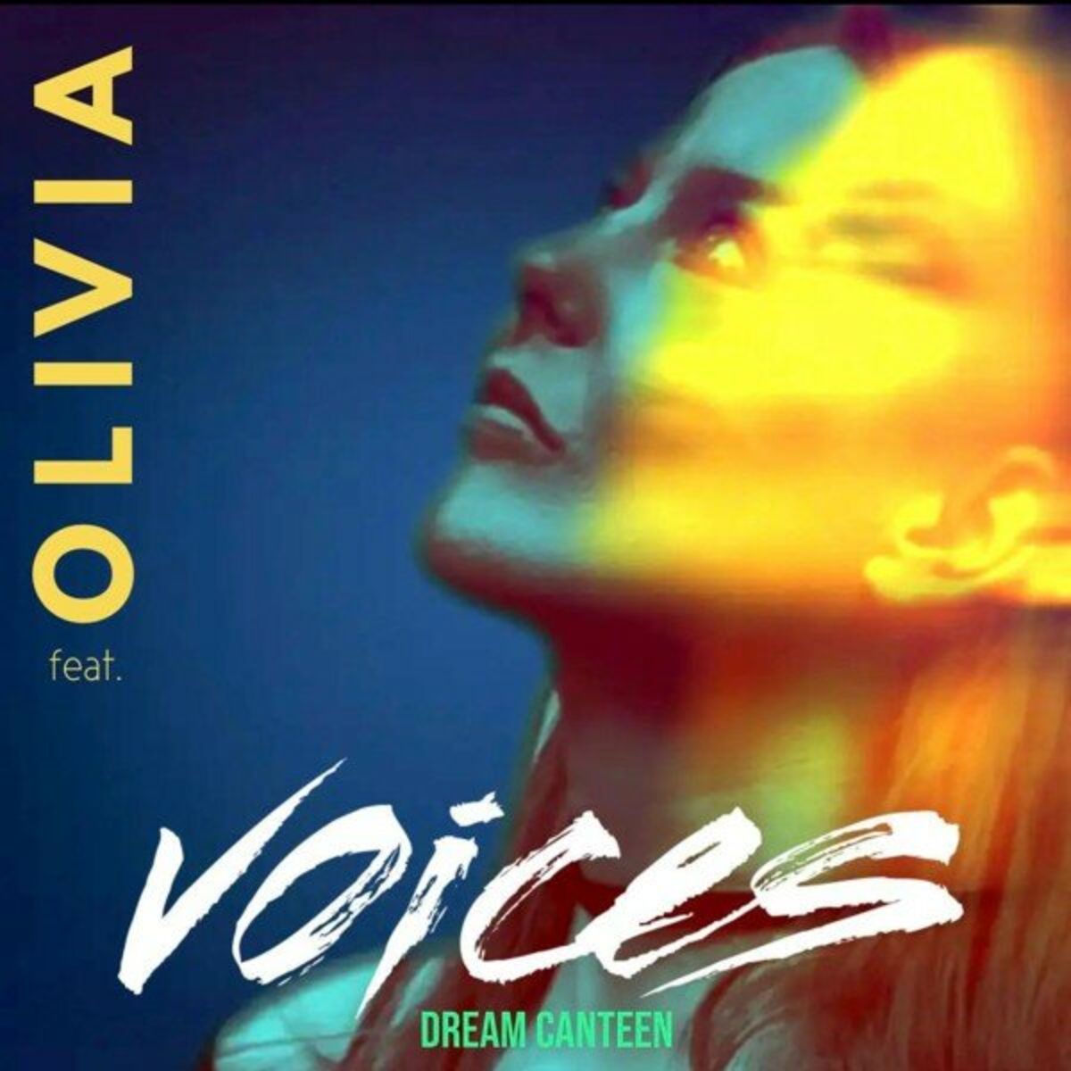Album cover of Voices