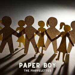 Paper boy