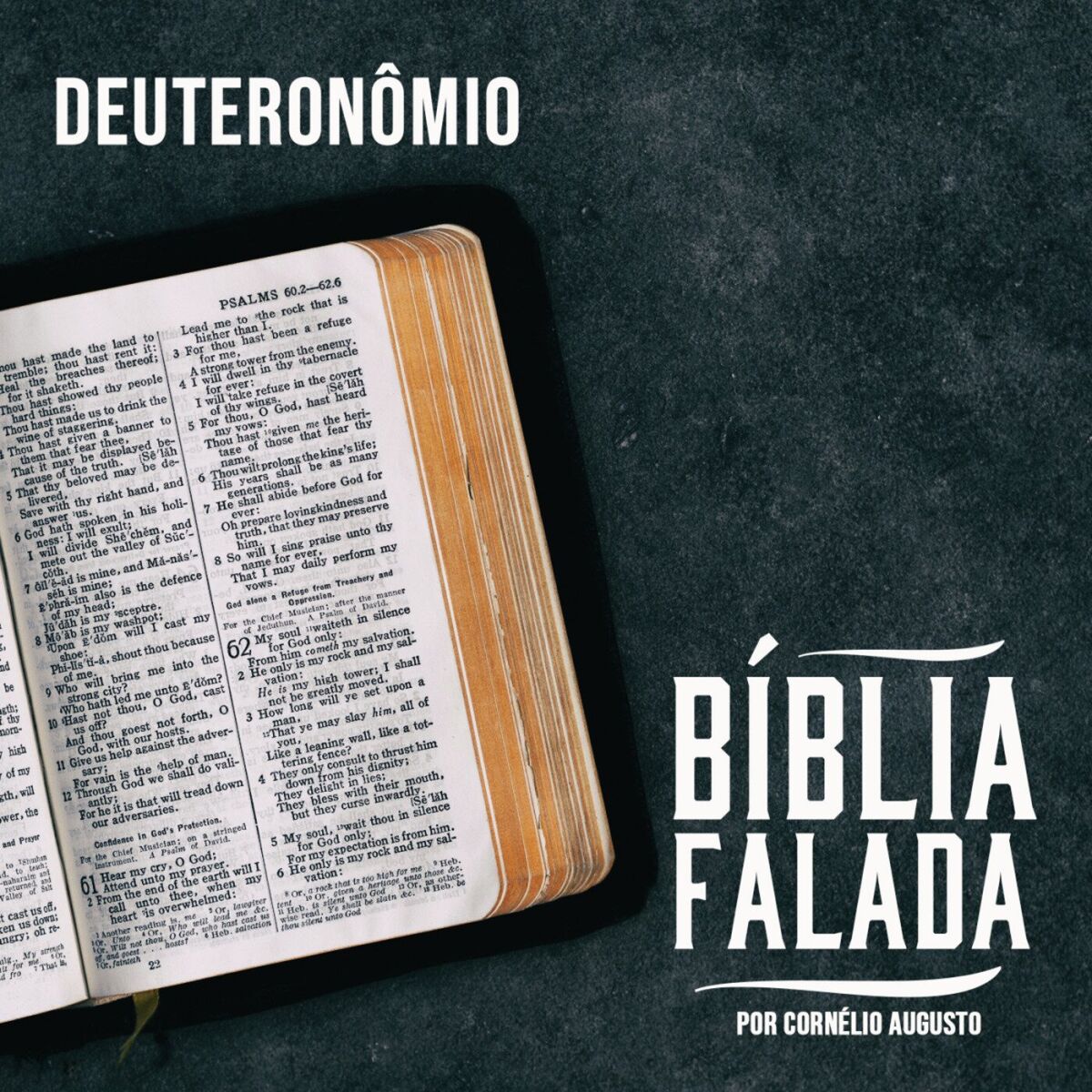 Album cover of Bíblia Falada: Deuteronômio