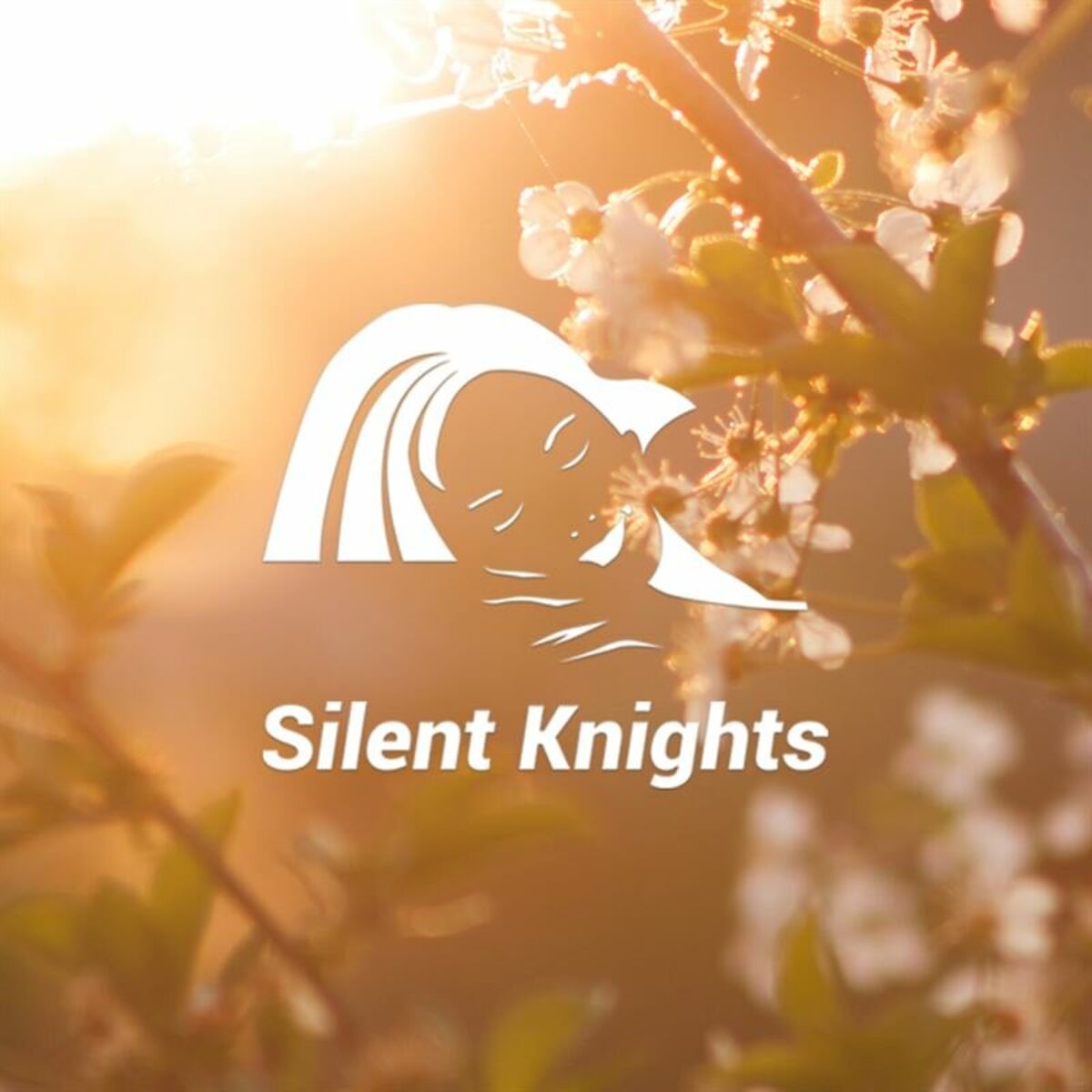 Album cover of Spring Sleep