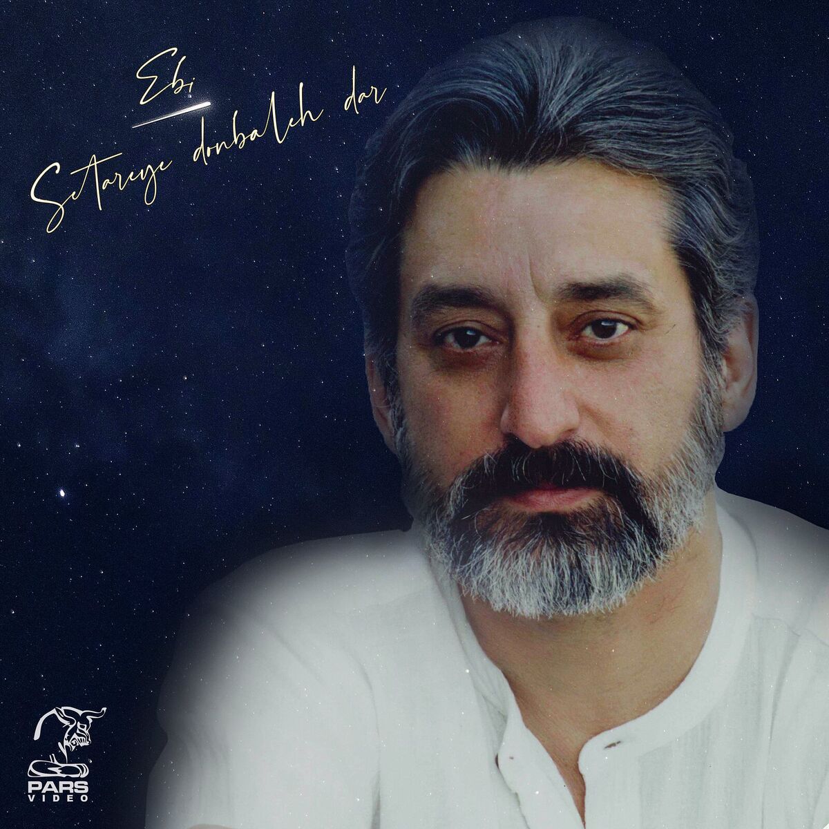 Album cover of Setareye Donbaleh Dar