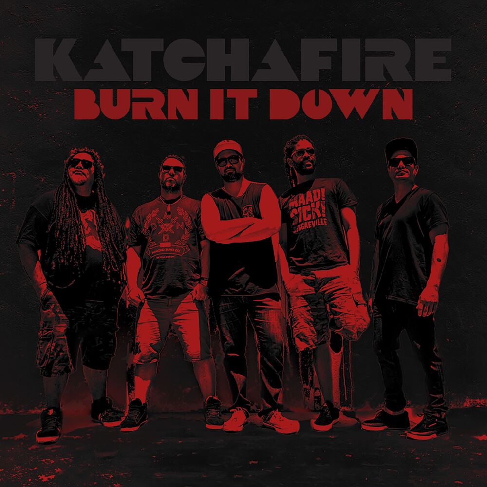 Picture of Burn It Down - single