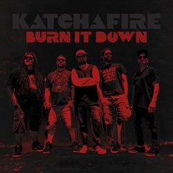 Cover of Burn It Down - single