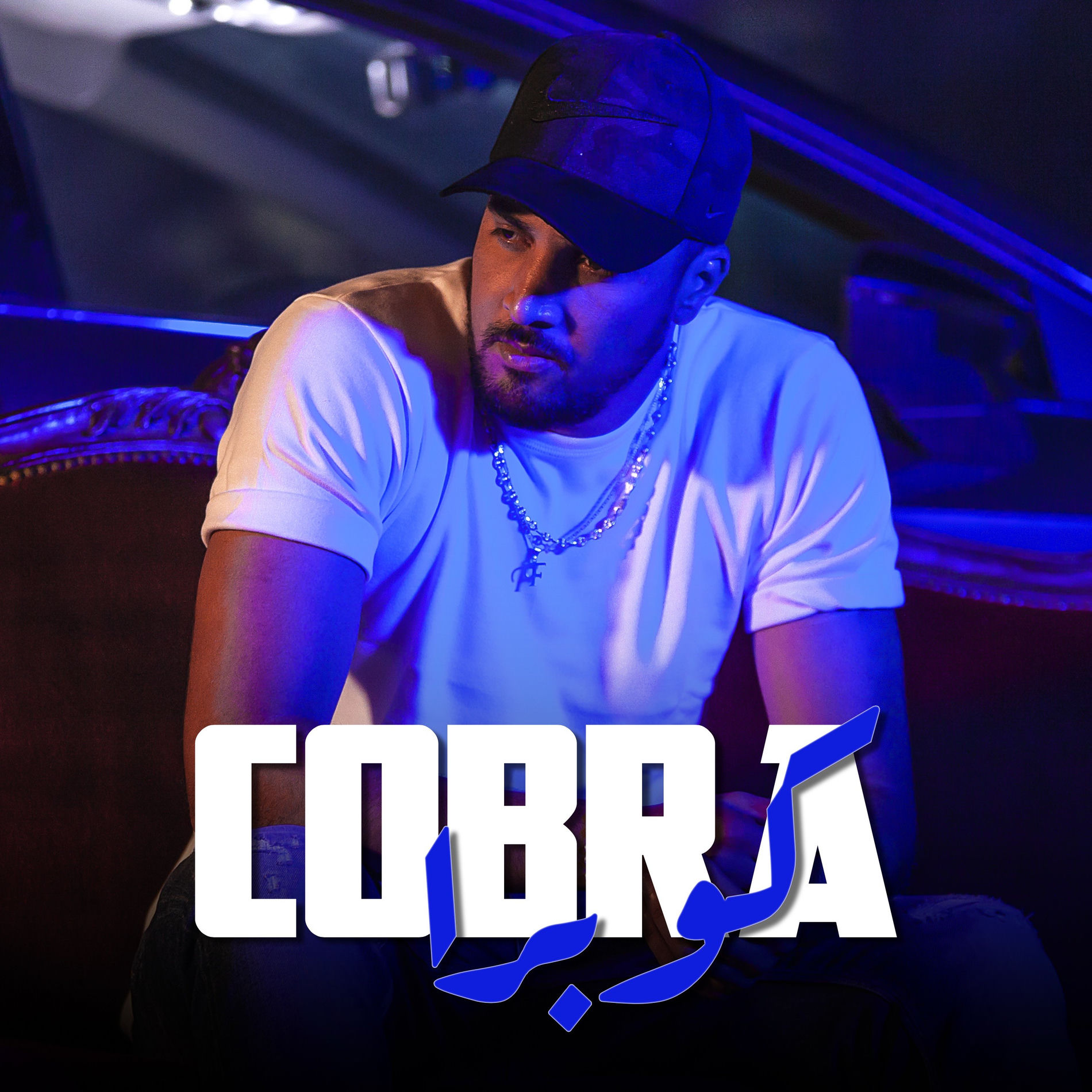Album cover of Cobra