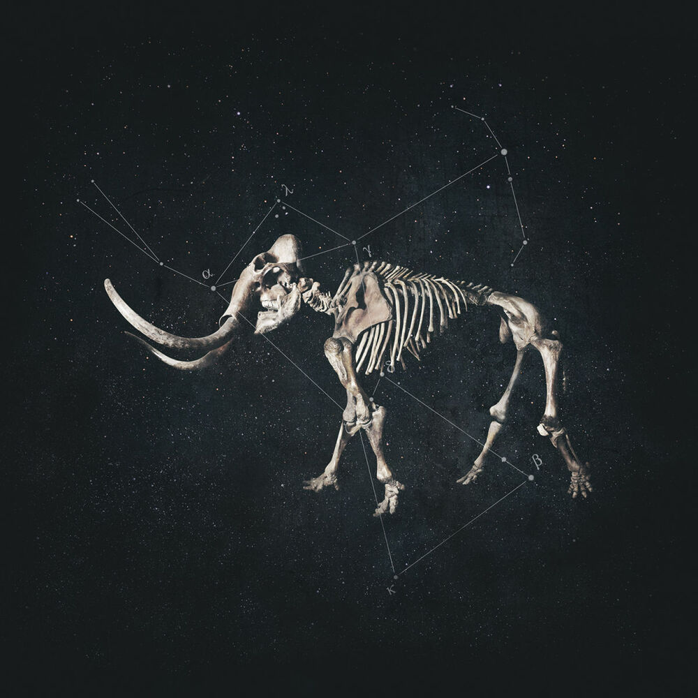 Picture of Hannibal (Bonus Track Version)