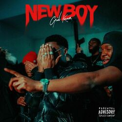 Cover of New Boy