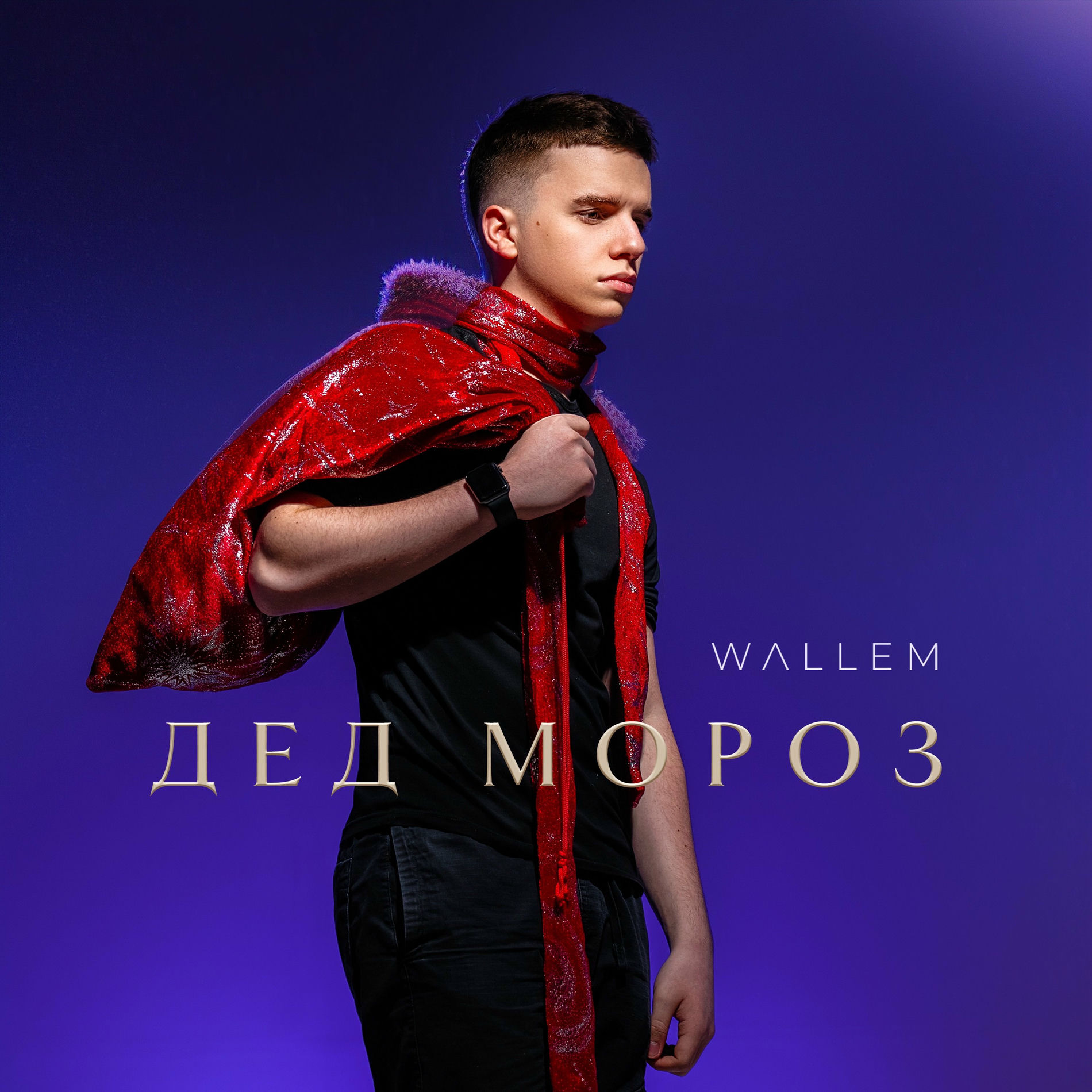 Album cover of Дед Мороз