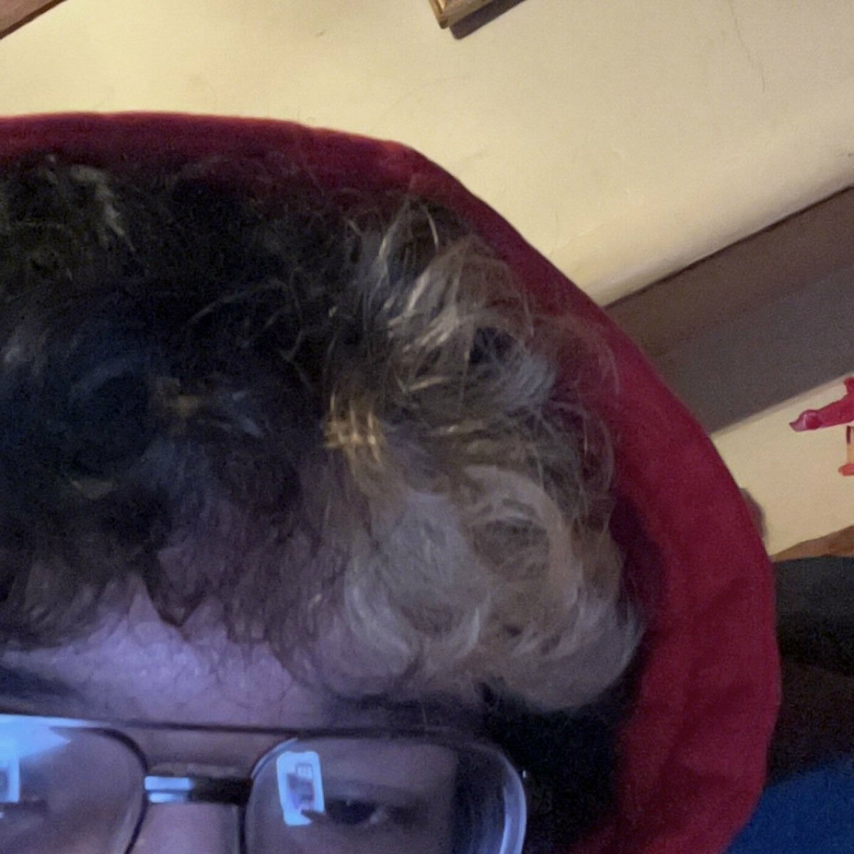 Album cover of Novocaine