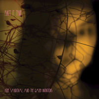 Hope Sandoval and the Warm Inventions: albums, songs