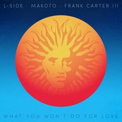 Cover of What You Won't Do for Love