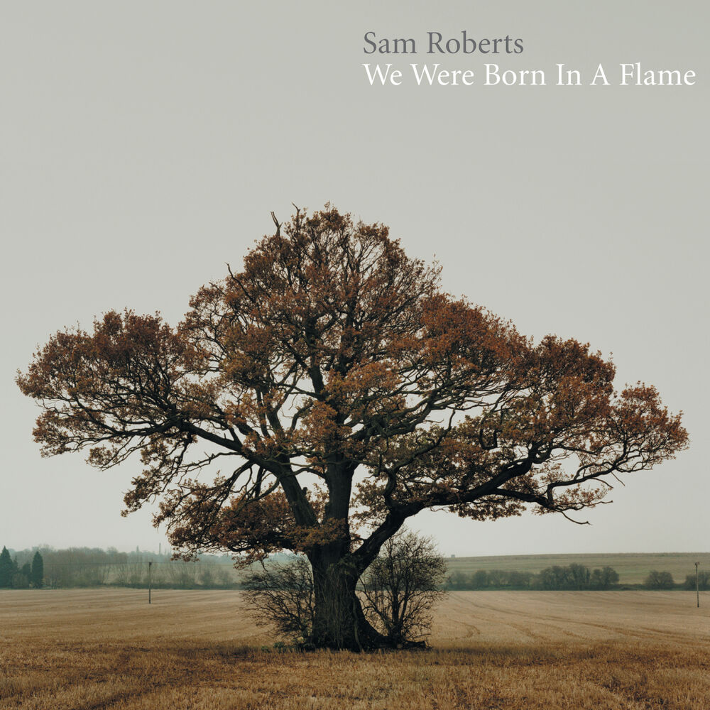Picture of We Were Born In A Flame (Deluxe)