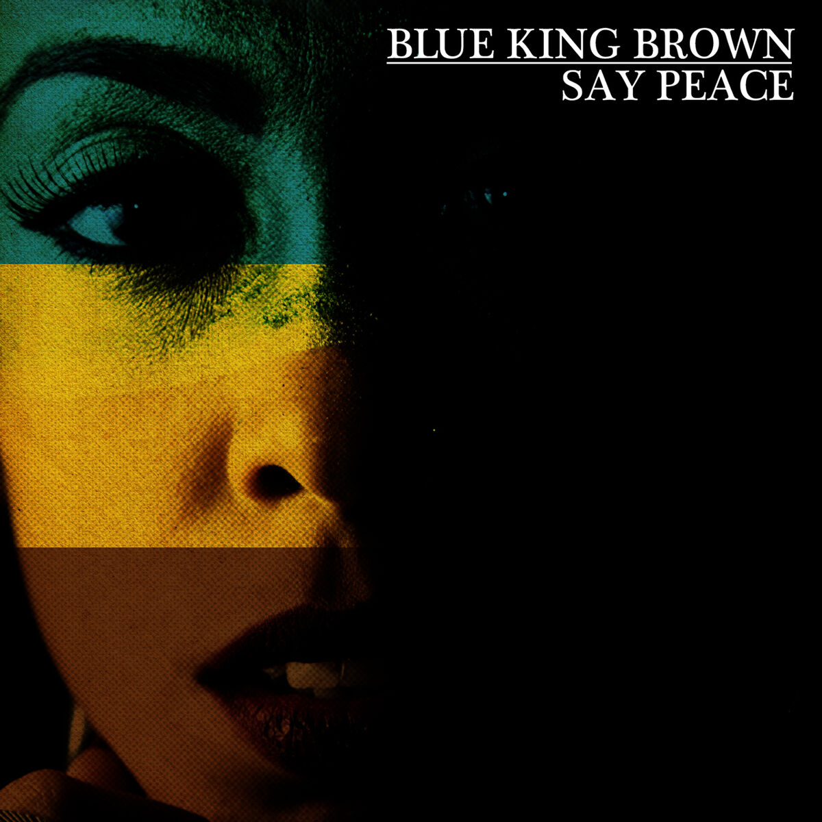 Album cover of Say Peace