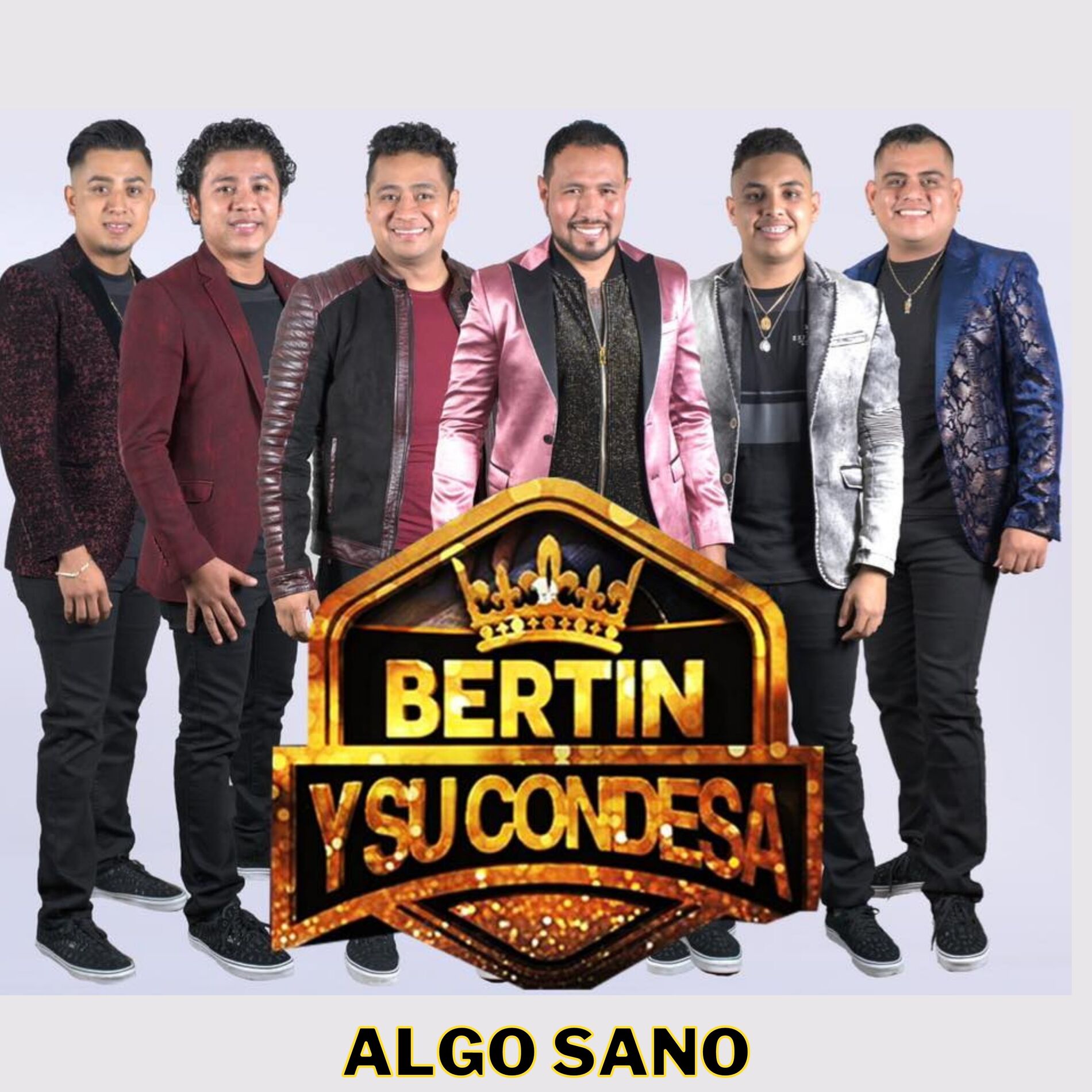 Album cover of Algo Sano