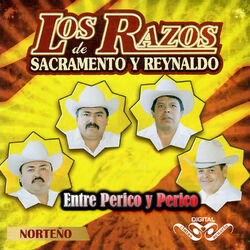 Cover of Entre Perico y Perico