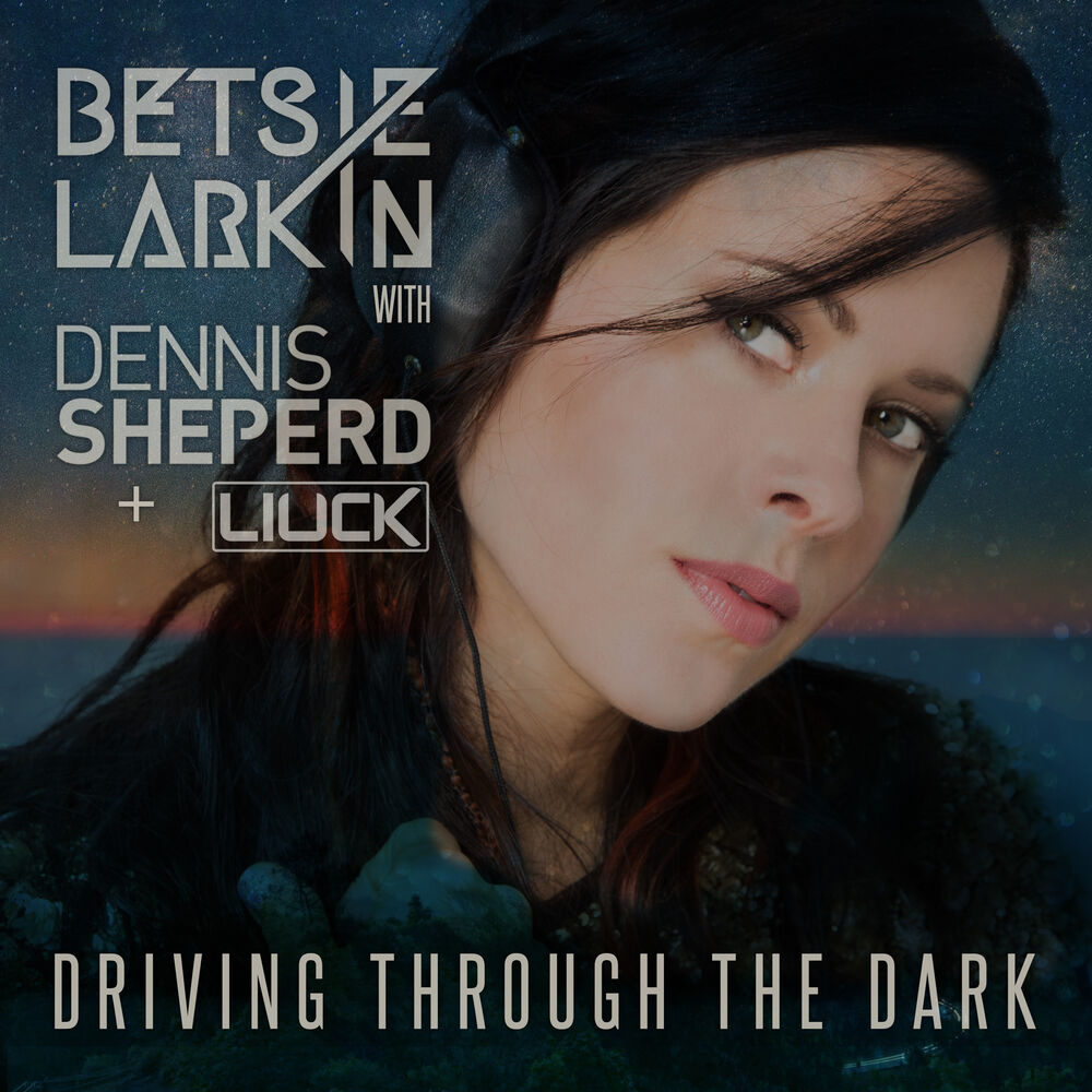 Picture of Driving Through the Dark