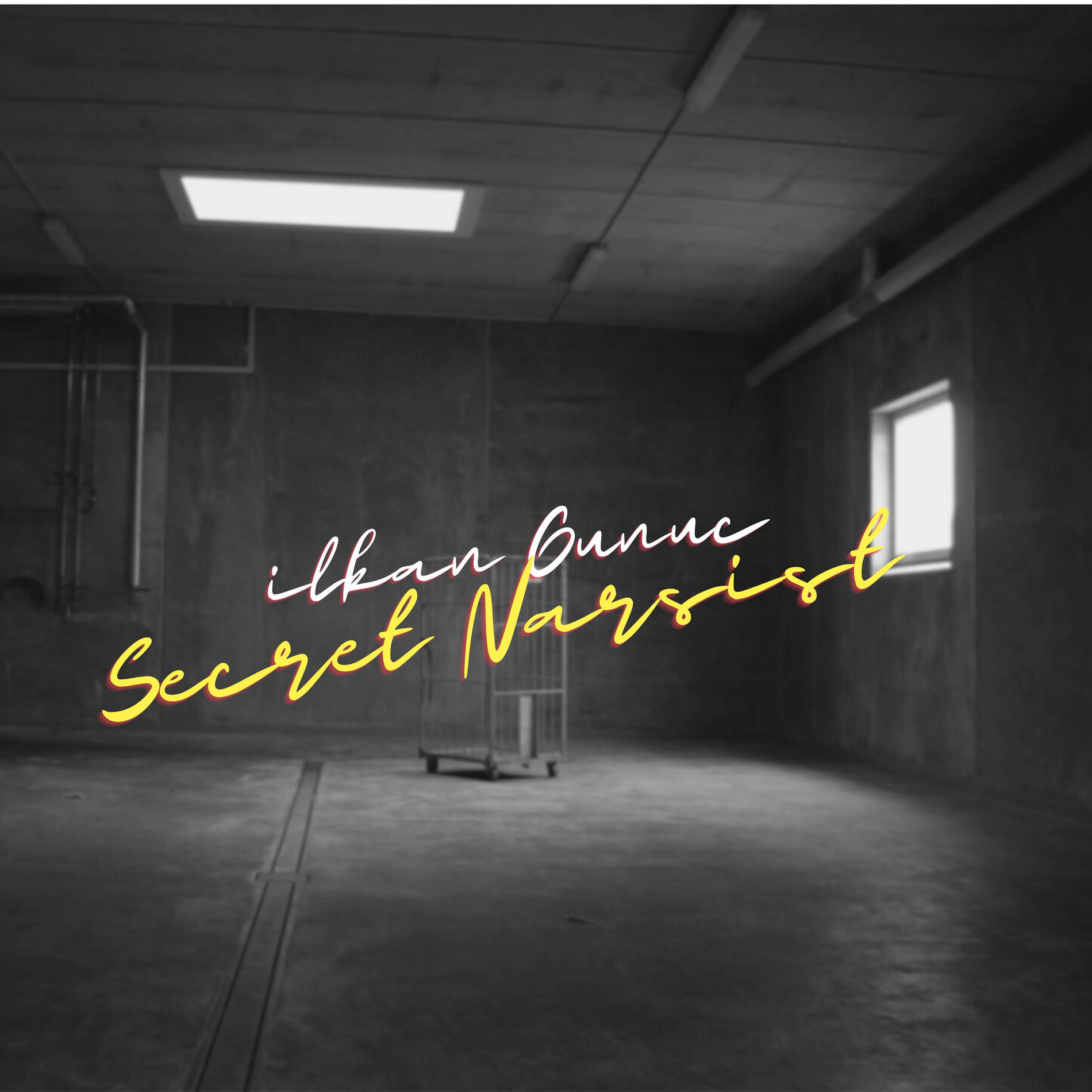 Album cover of Secret Narsist
