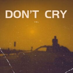 Cover of Dont Cry