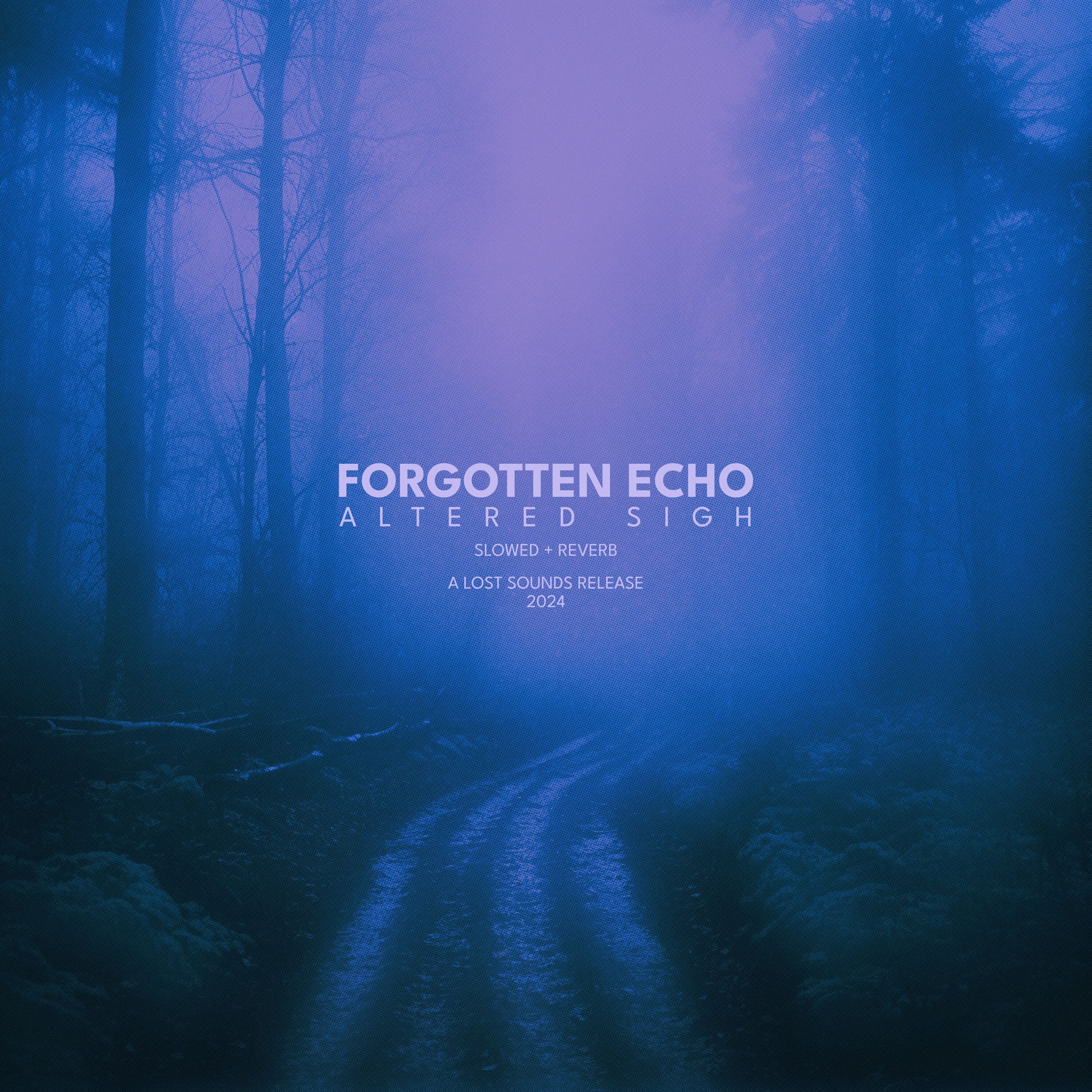 Album cover of forgotten echo (slowed + reverb)