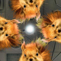 Squirrels!