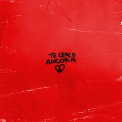 Cover of TE CERCO ANCORA