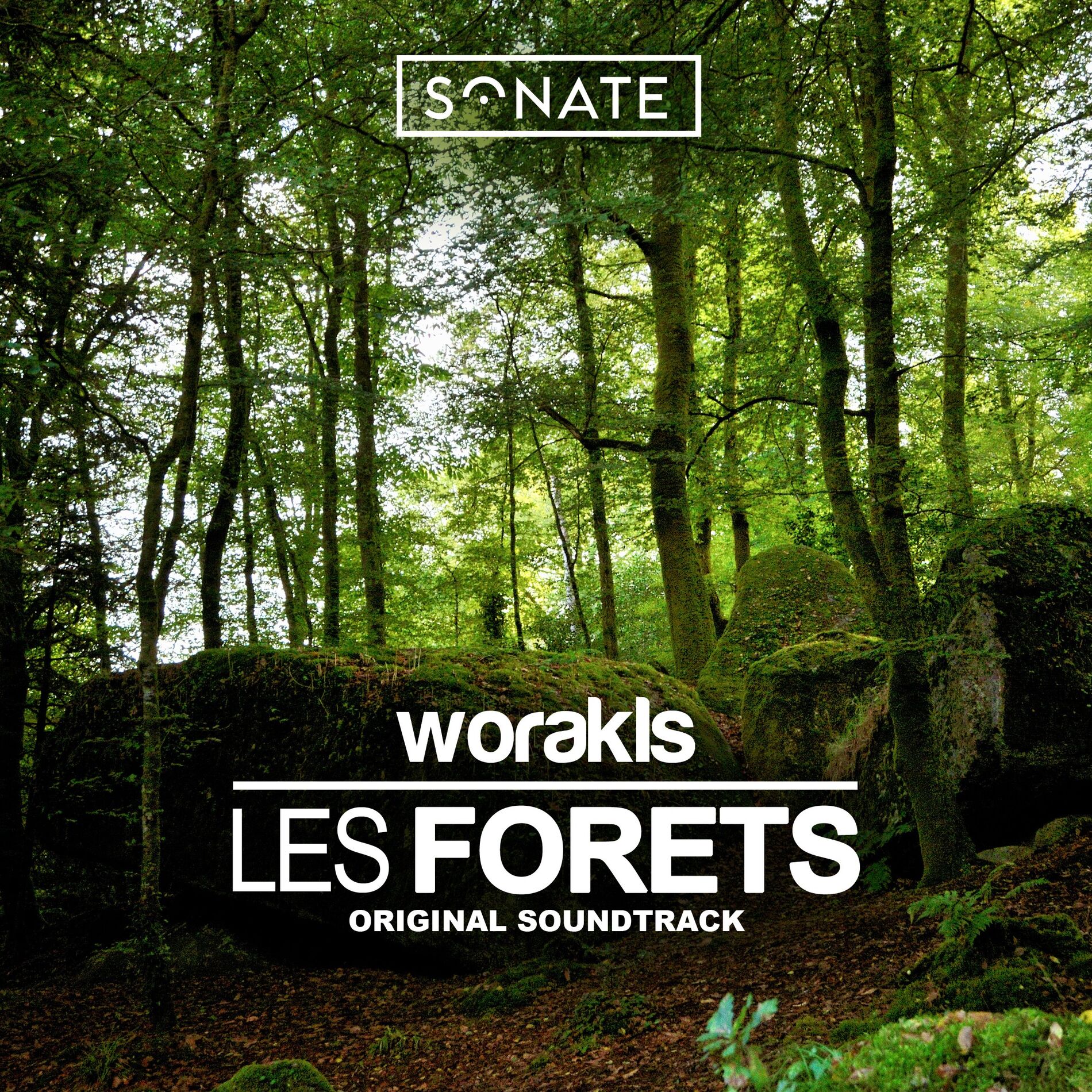 Album cover of Les gardiens de la forêt