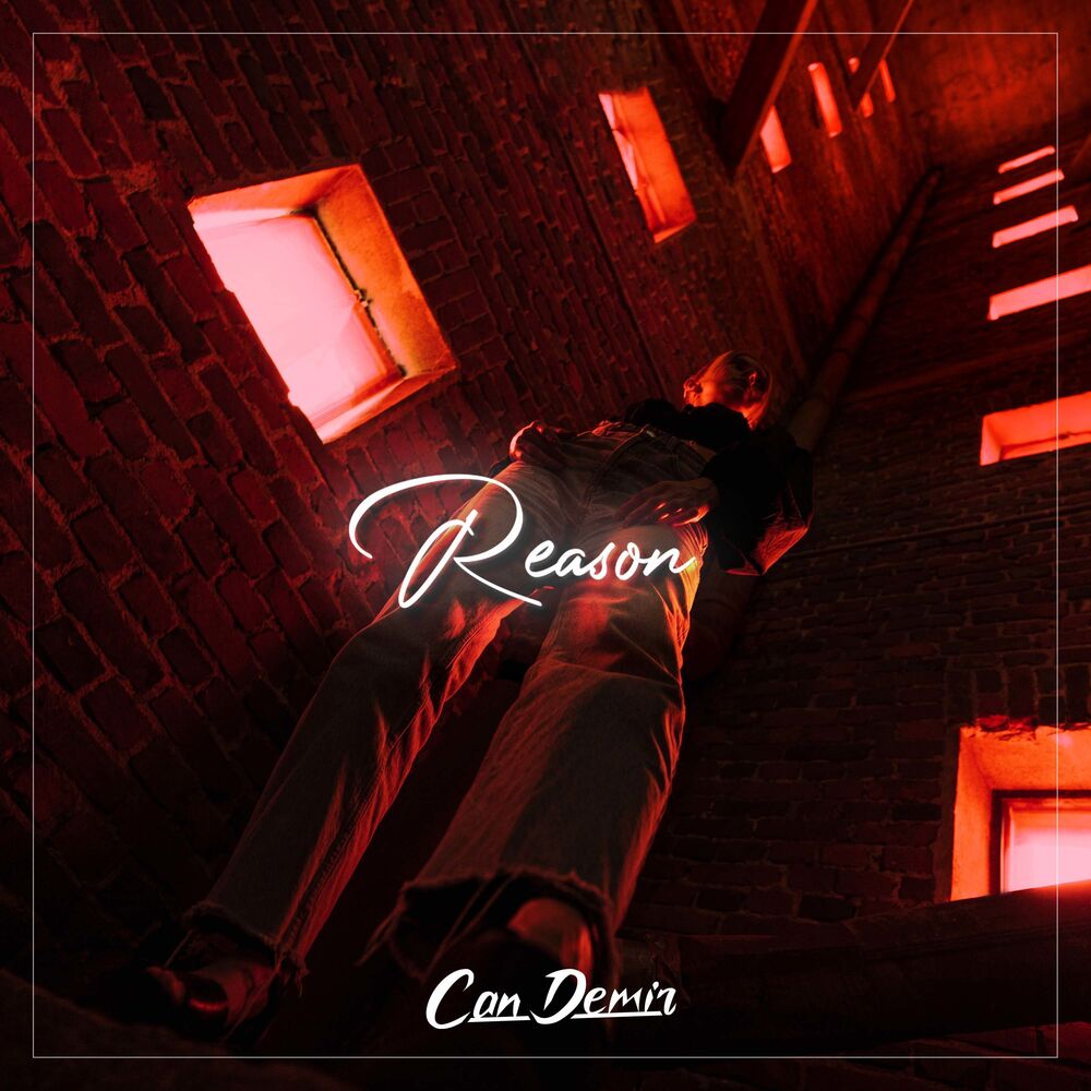 Picture of Reason (Remix)