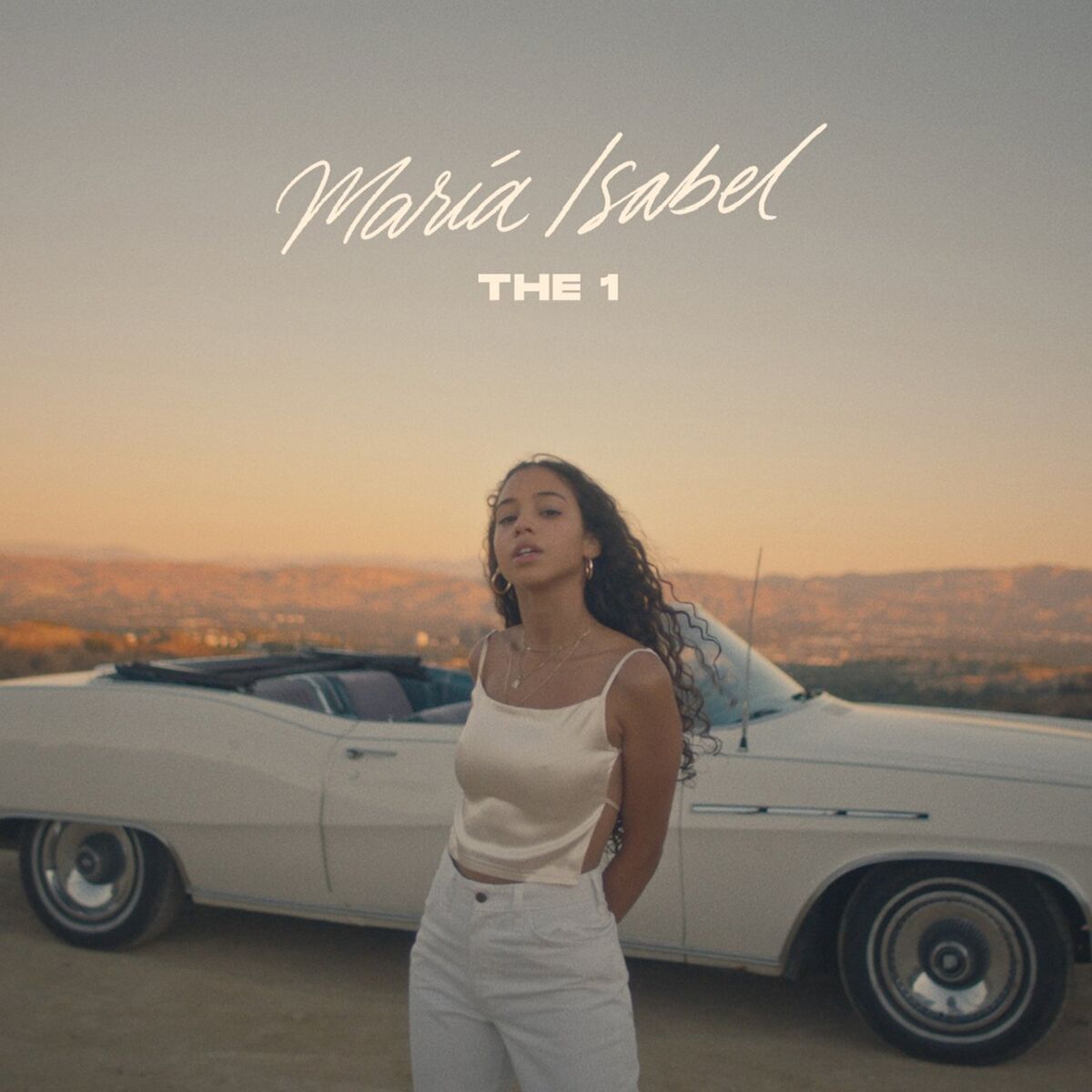Album cover of The 1