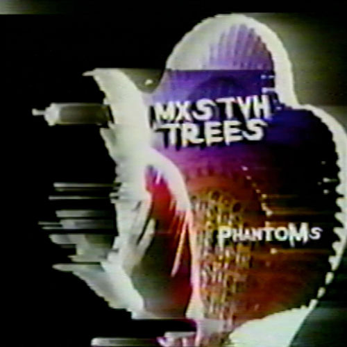 phantoms