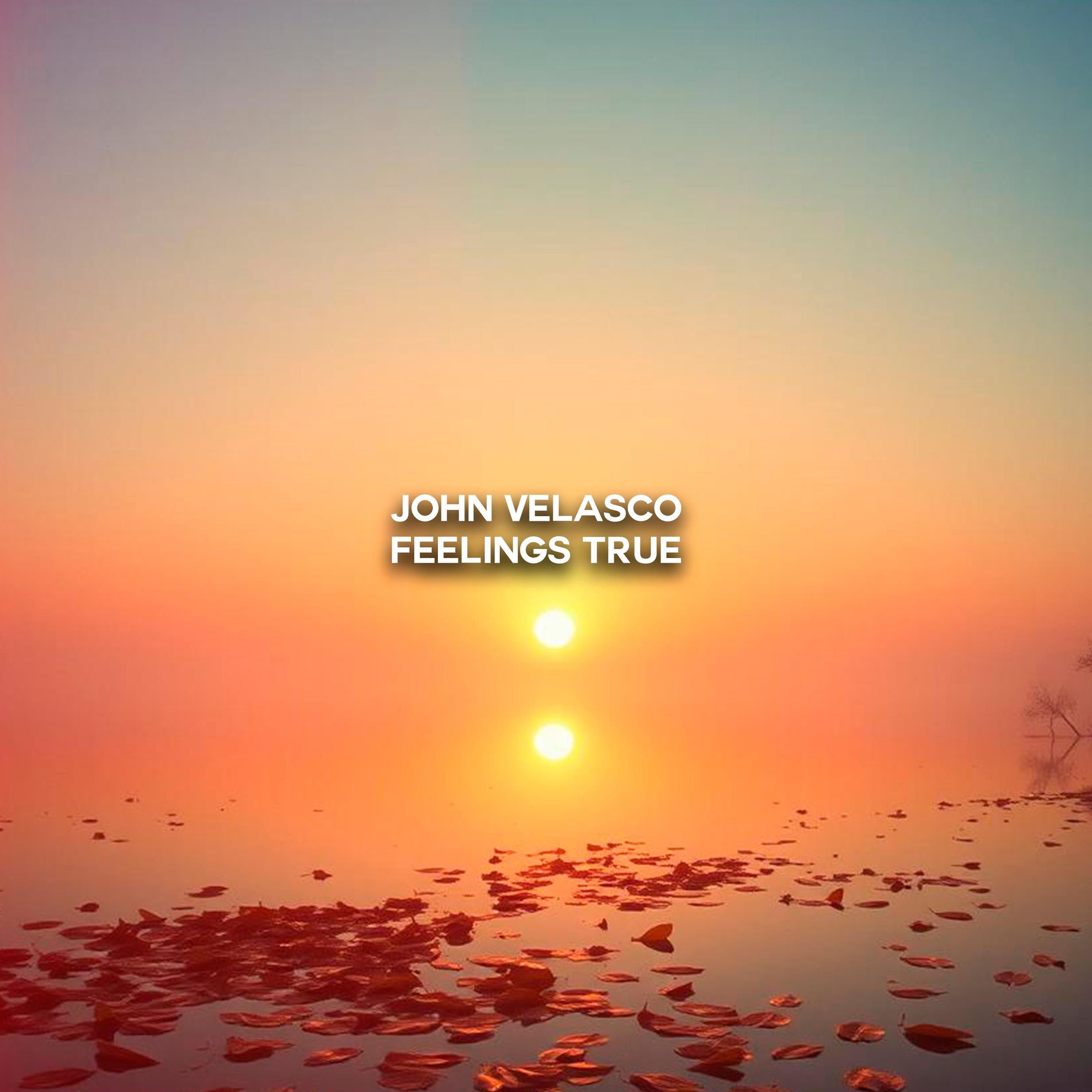 Album cover of Feelings True