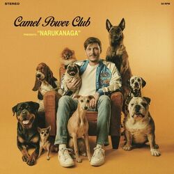 Cover of Narukanaga