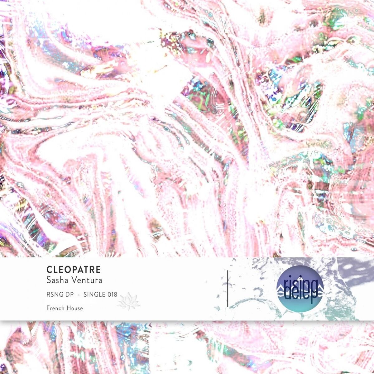 Album cover of Pandora by Night