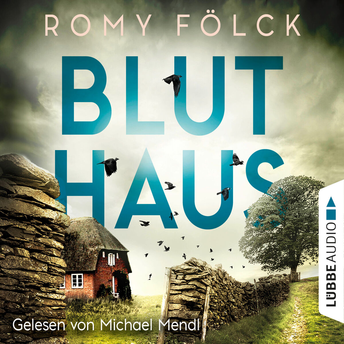 Album cover of Bluthaus - Elbmarsch-Krimi, Teil 2 (Gekürzt)